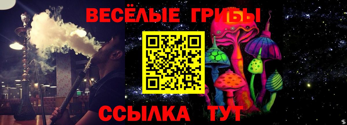 Псилоцибиновые грибы MAGIC MUSHROOMS  Вход с VPN  сколько стоит  Губаха 